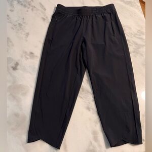 T by Talbots Crop Pants / NAVY BLUE/ Medium Petite